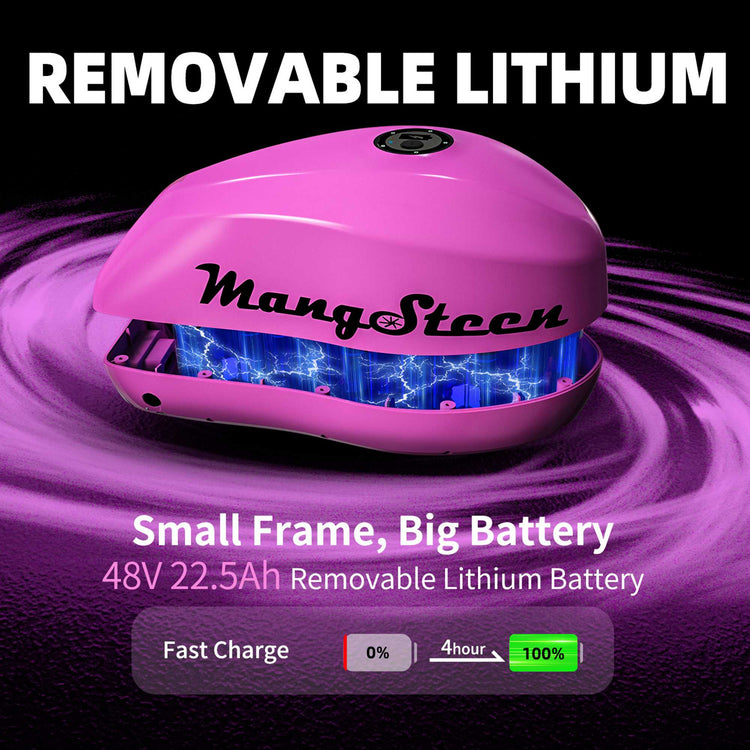 Mini eChopper Bike Mangosteen FT02 250W 25km/h Swiss Version for Sale 15