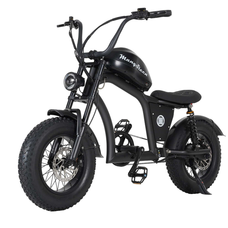 Mini eChopper Bike Mangosteen FT02 250W 25km/h Swiss Version for Sale 12
