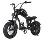 Mini eChopper Bike Mangosteen FT02 250W 25km/h Swiss Version for Sale 12