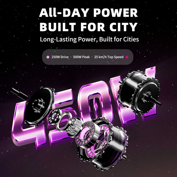 Mini eChopper Bike Mangosteen FT02 250W 25km/h Swiss Version for Sale 16