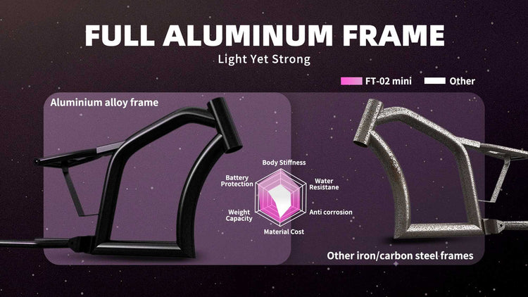 Mini eChopper Bike Mangosteen FT02 250W 25km/h Swiss Version for Sale 19