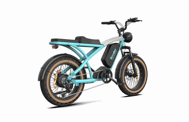 Mountain Ebikes wholesale