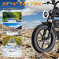 RONZLLA E20 Plus High Range Electric Bike - 20*4 inch fat tire, all terrain.