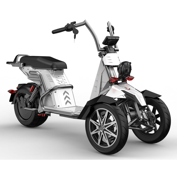 Reverse Trike Scooter Rooder EEC DOT for Sale
