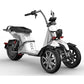 Reverse Trike Scooter Rooder EEC DOT for Sale