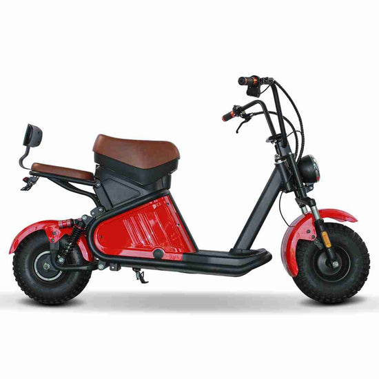 Rooder citycoco Electric Scooter wholesale