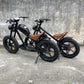 Rooder electric bike cb01b 48v 1000w 40ah 50km/h wholesale price