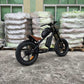 Rooder electric bike cb01b 48v 1000w 40ah 50km/h wholesale price