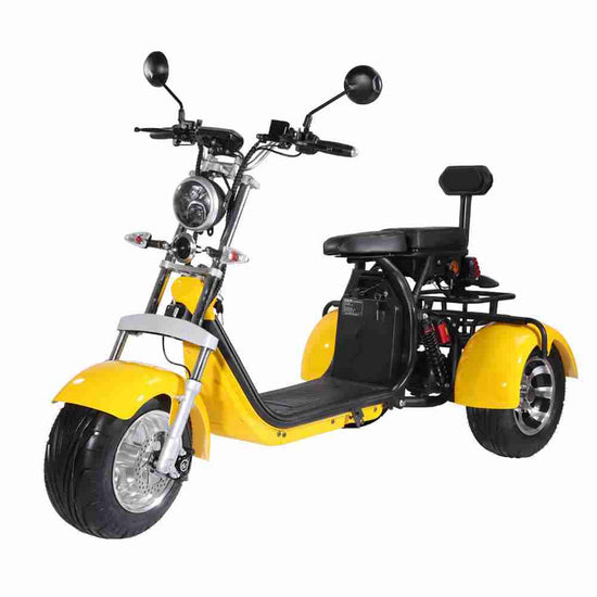 Rooder r804t8 EEC COC 60V 40Ah 2000W Electric Trike Scooter