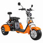Rooder r804t8 EEC COC 60V 40Ah 2000W Electric Trike Scooter