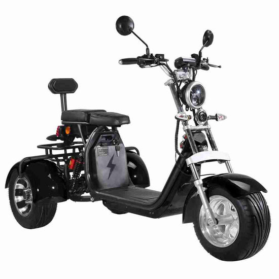 Rooder r804t8 EEC COC 60V 40Ah 2000W Electric Trike Scooter