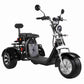 Rooder r804t8 EEC COC 60V 40Ah 2000W Electric Trike Scooter