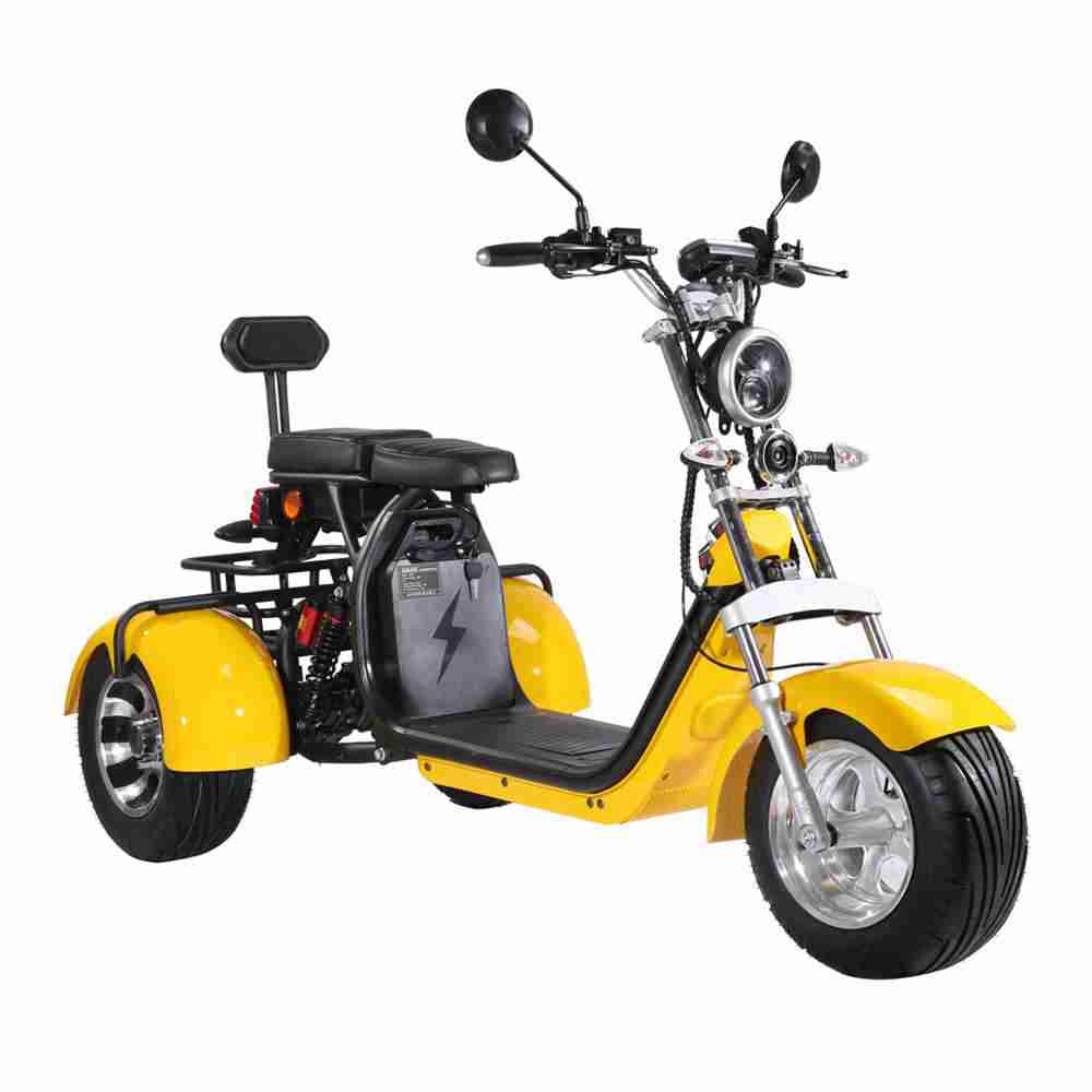 Rooder r804t8 EEC COC 60V 40Ah 2000W Electric Trike Scooter