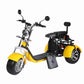 Rooder r804t8 EEC COC 60V 40Ah 2000W Electric Trike Scooter