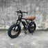 Single Speed Ebike wholesale