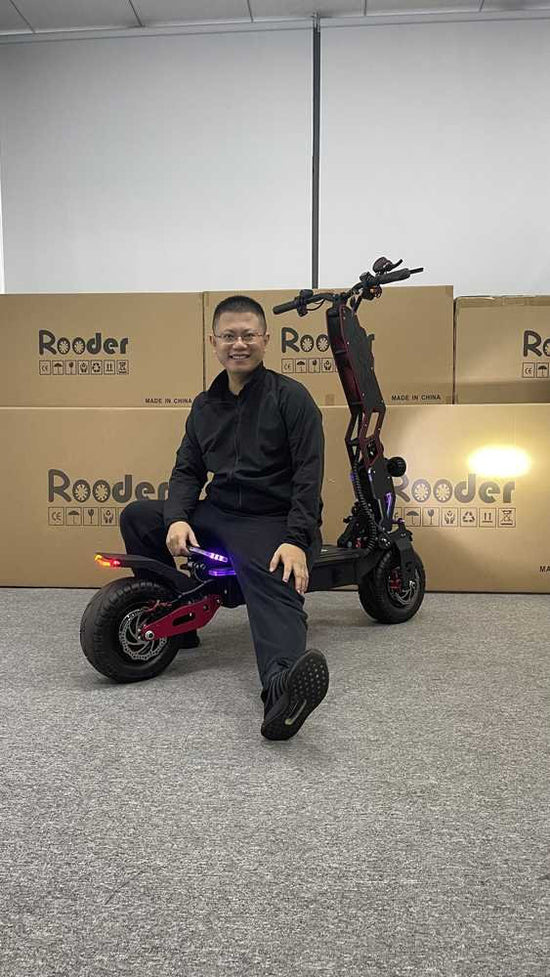 Stand Up 3 Wheel Electric Scooter wholesale
