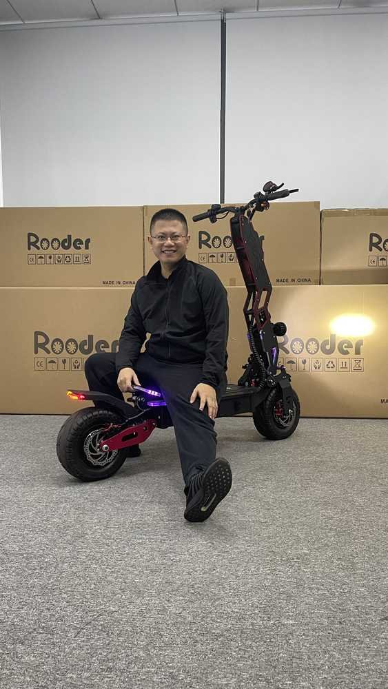 Stand Up 3 Wheel Electric Scooter wholesale