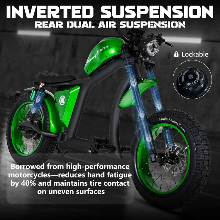 Street Legal Electric Bike Mangosteen FT02 1000w 45km/h EEC COC CE 18