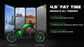 Street Legal Electric Bike Mangosteen FT02 1000w 45km/h EEC COC CE 19