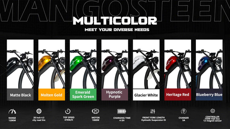 Street Legal Electric Bike Mangosteen FT02 1000w 45km/h EEC COC CE 24