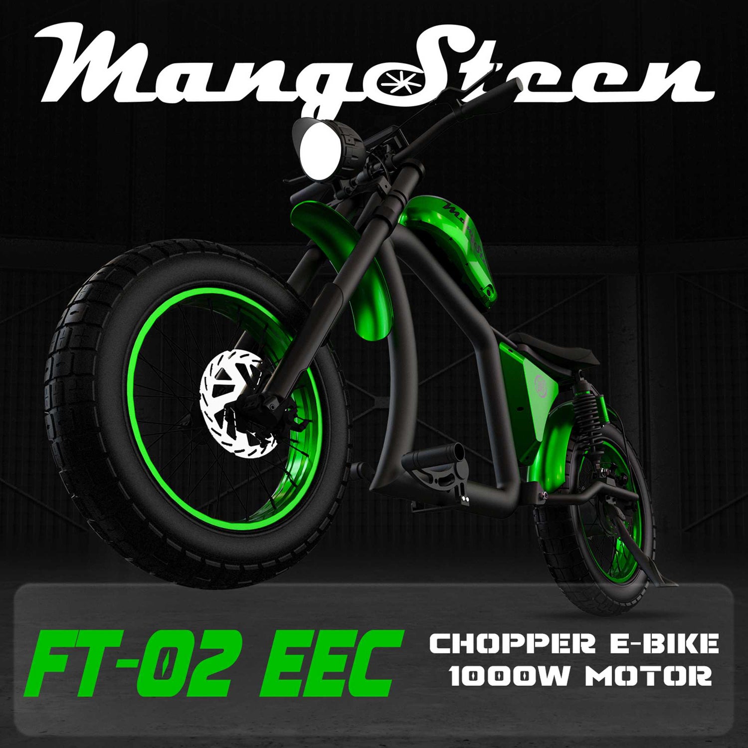 Street Legal Electric Bike Mangosteen FT02 1000w 45km/h EEC COC CE 14