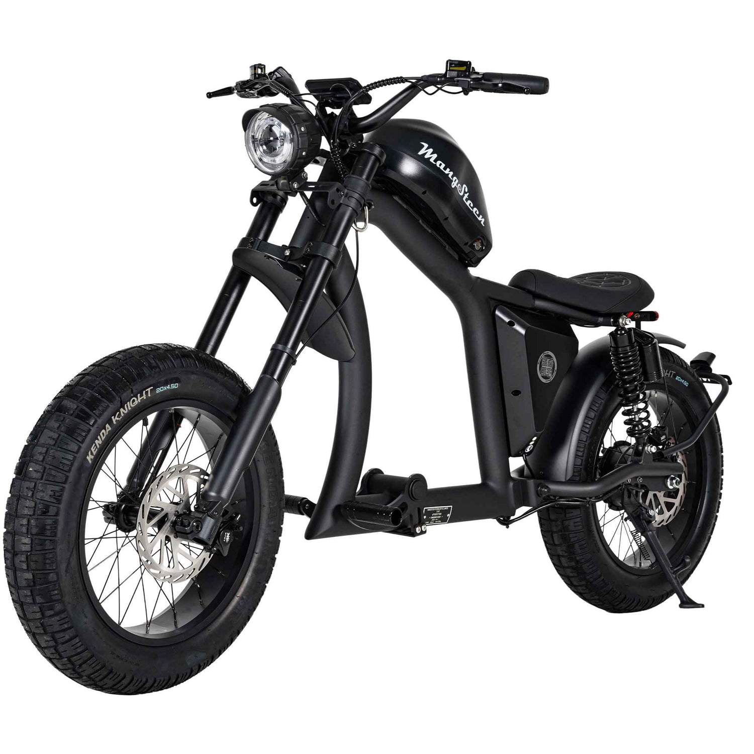Street Legal Electric Bike Mangosteen FT02 1000w 45km/h EEC COC CE – RONZLLA Street Legal Electric Bike Mangosteen FT02 1000w 45km/h EEC COC CE – RONZLLA