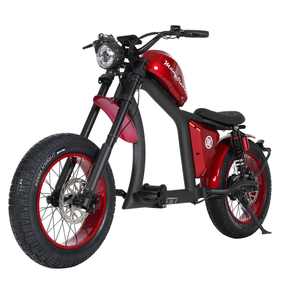 Street Legal Electric Bike Mangosteen FT02 1000w 45km/h EEC COC CE 12
