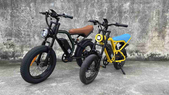 Two Wheel Fat Tire Electric Bike wholesale
