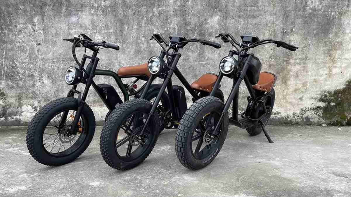 Womens Electric Bike wholesale