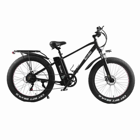 best 750 watt electric bike wholesale