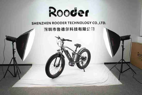 best fat tire ebike 2024 wholesale