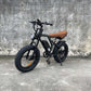chopper ebike Rooder cb02b 48v 500w 20a 45km/h cheap wholesale price