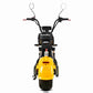 citycoco Rooder r804-x17 electric scooter 2000w 3000w 20ah for sale