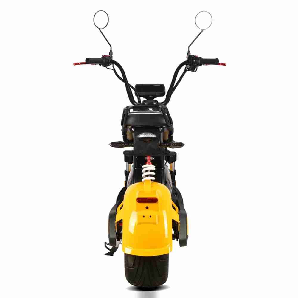 citycoco Rooder r804-x17 electric scooter 2000w 3000w 20ah for sale