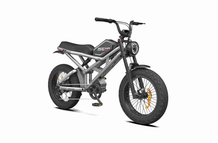 electric assist bicycle wholesale