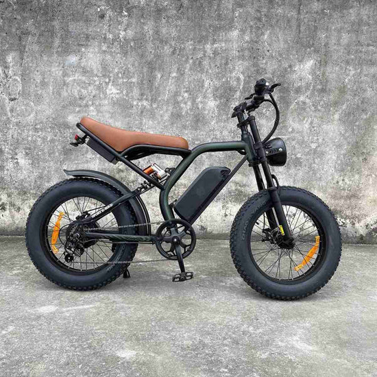 electric bike for adults wholesale