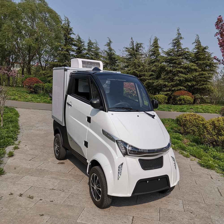 best electric car to buy uk factory wholesale price