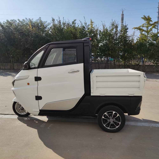 ev autos factory wholesale price