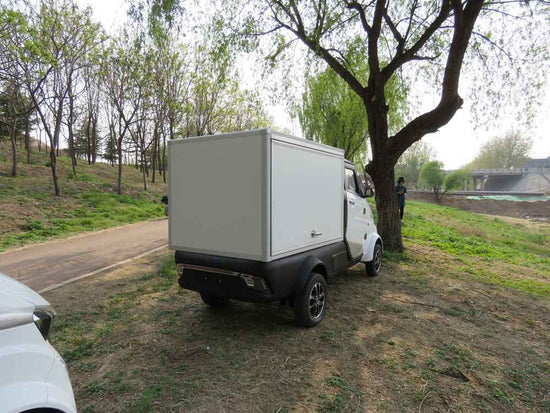 electric car price in philippines factory wholesale price