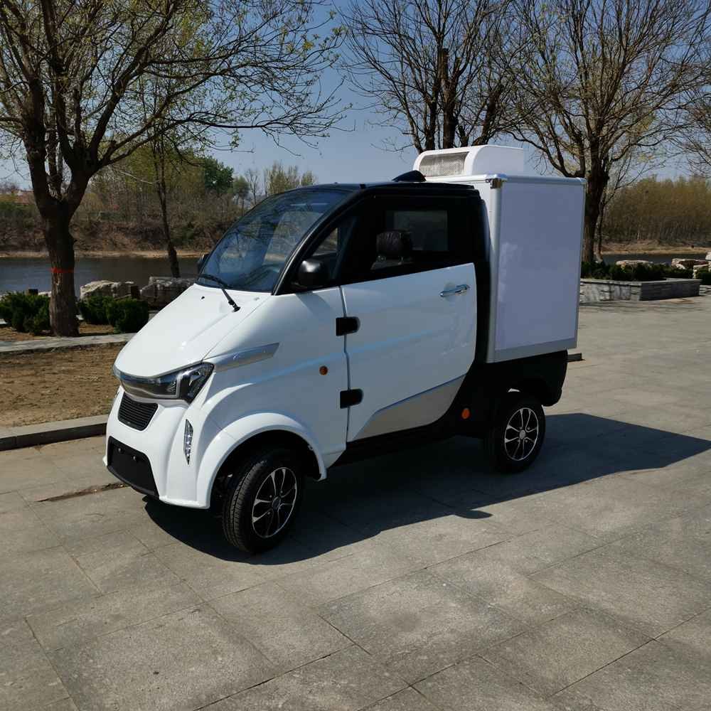 best electric coupe factory wholesale price