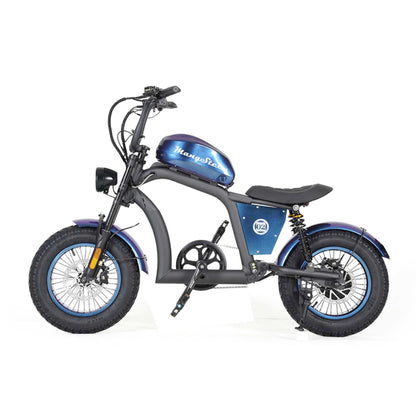 Electric Bike Mangosteen FT02 CE EU 25km/h for Adults & Teens for Sale 14