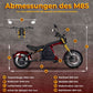 mangosteen m8s rooder citycoco chopper 11