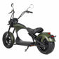 mangosteen scooter Rooder m1ps SARA-E wholesale price