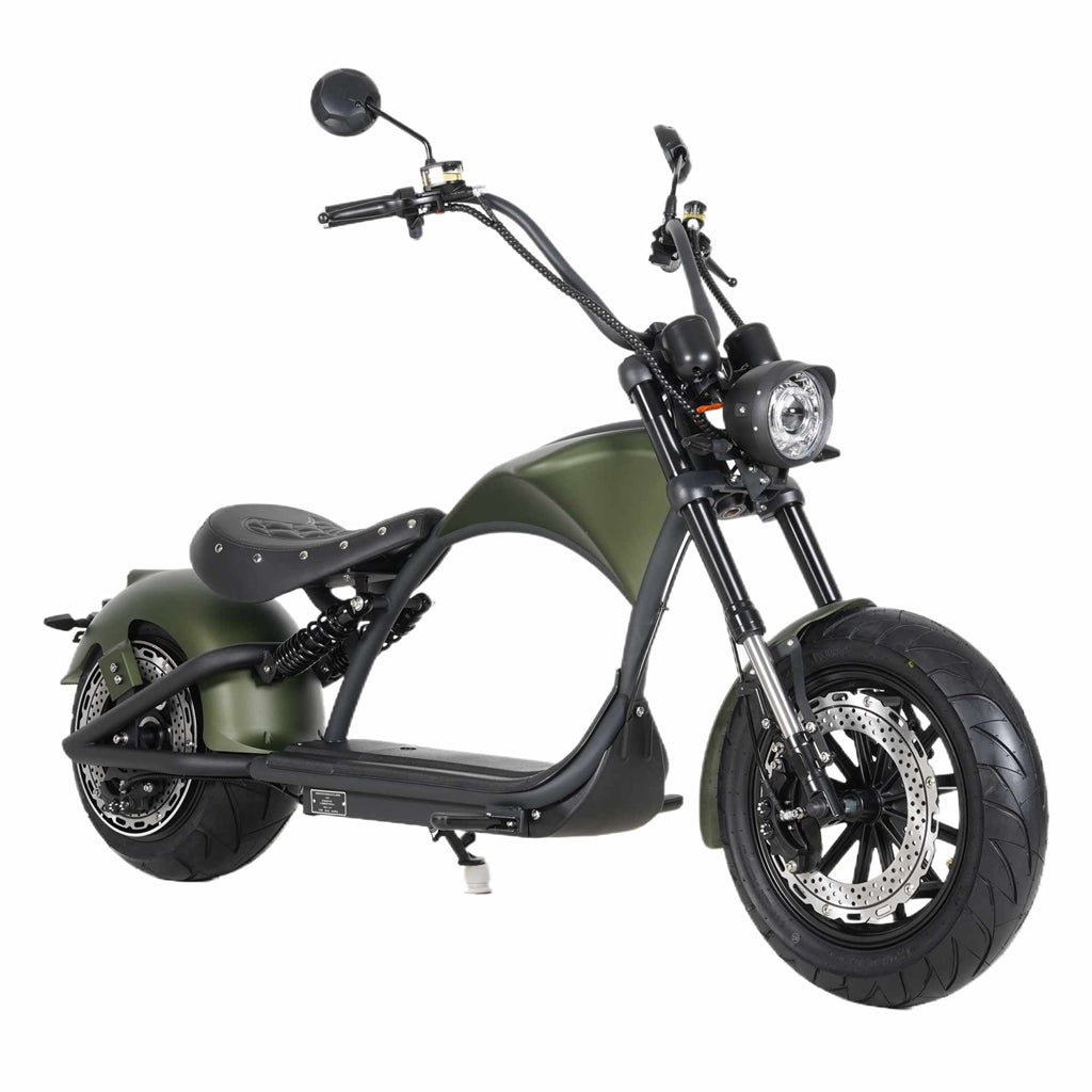mangosteen scooter Rooder m1ps SARA-E wholesale price
