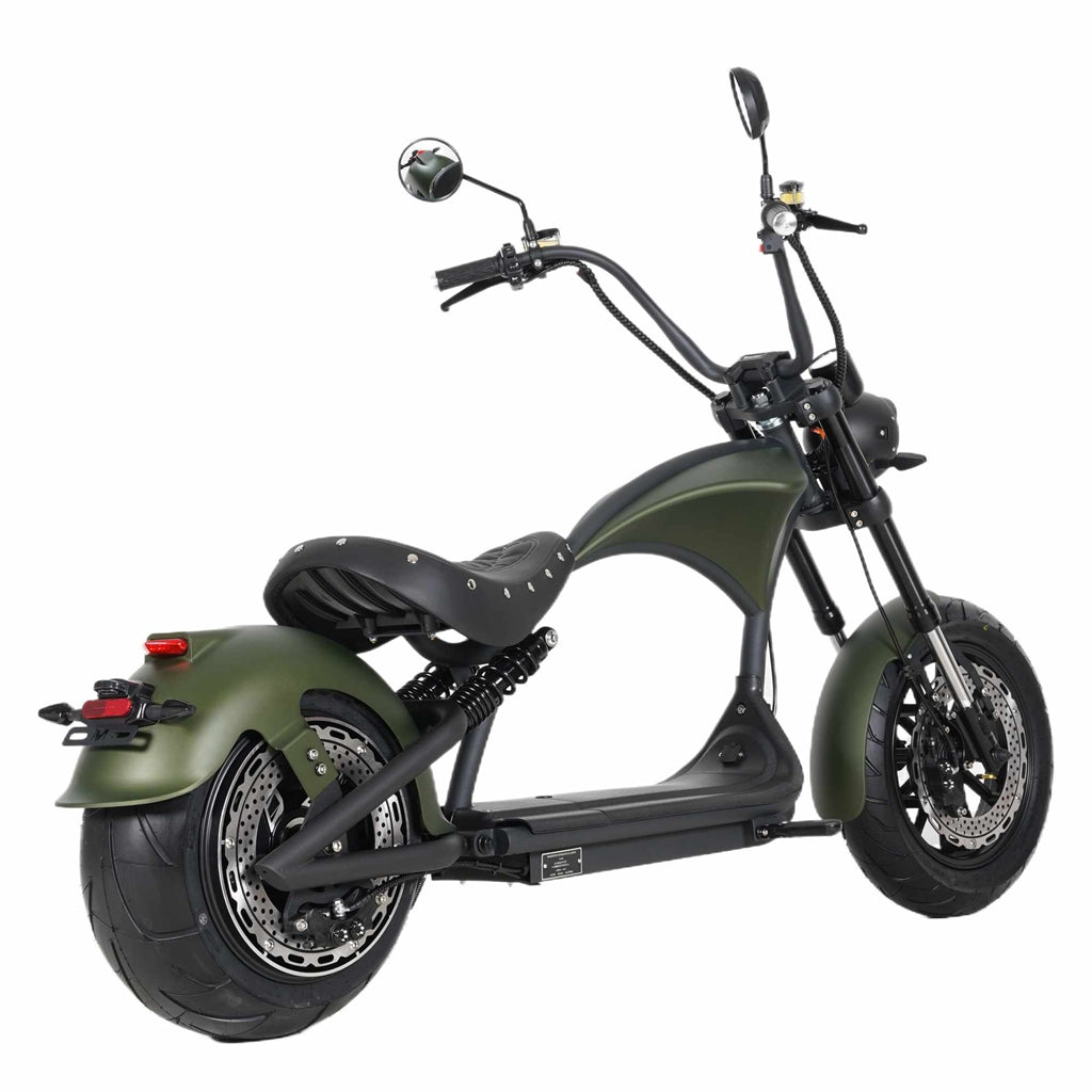 mangosteen scooter Rooder m1ps SARA-E wholesale price
