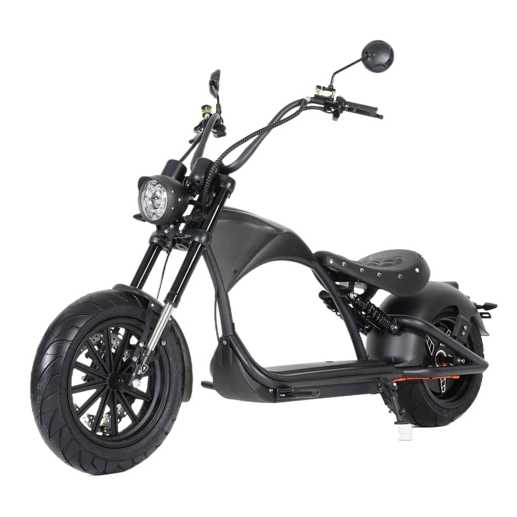 mangosteen scooter Rooder m1ps SARA-E wholesale price