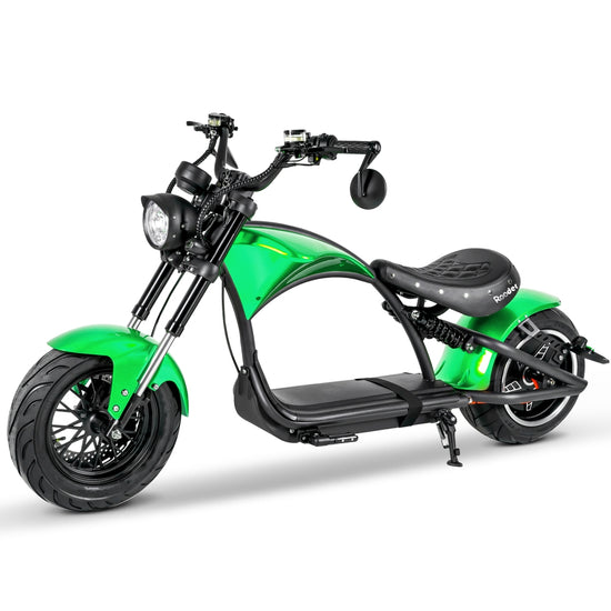 mangosteen bike Rooder sara-e m1ps 2000w 30ah wholesale price