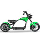 mangosteen bike Rooder sara-e m1ps 2000w 30ah wholesale price