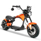 mangosteen moped Rooder citycoco chopper m1p m1ps wholesale price