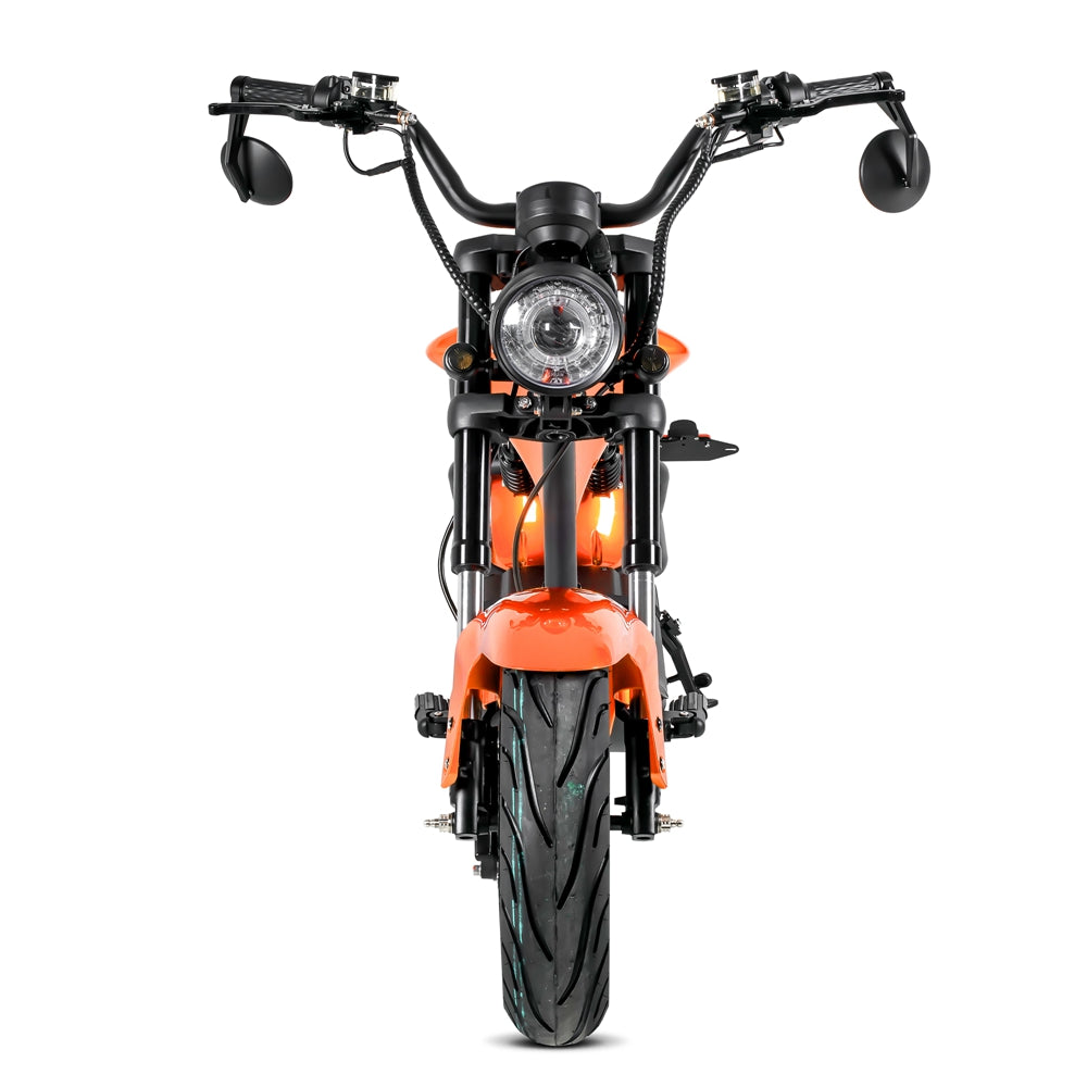 mangosteen moped Rooder citycoco chopper m1p m1ps wholesale price